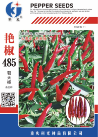 科光種苗“艷椒485”辣椒、“秋實1號”甘藍分別入選2025年農業(yè)主導品種、農作物優(yōu)良品種推廣目錄